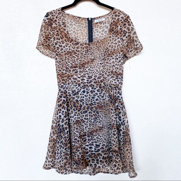 Hazel Short Sleeve Semi Sheer Leopard Print Dress Size Small - Picture 1 of 8